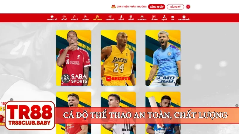 Cá độ thể thao an toàn, chất lượng