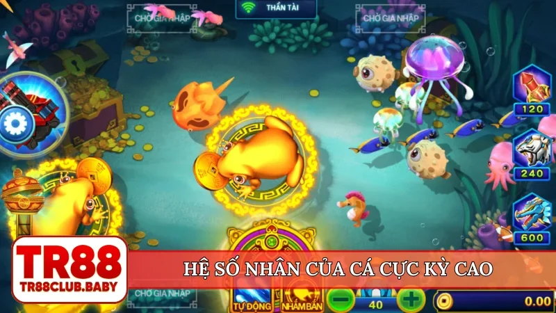 Hệ số nhân của cá cực kỳ cao