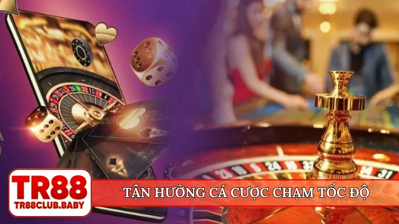 Tận hưởng cá cược chạm tốc độ