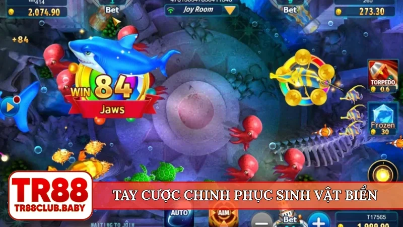 Tay cược chinh phục sinh vật biển