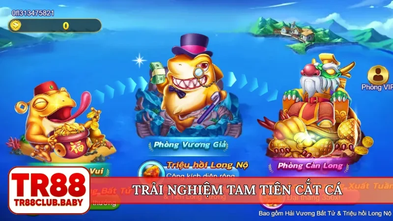 Trải nghiệm Tam Tiên Cắt Cá