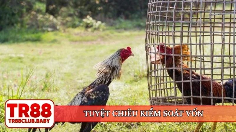 Tuyệt chiêu kiểm soát vốn thông minh